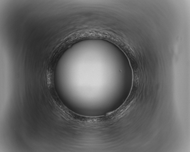 X0000115671490200911191015