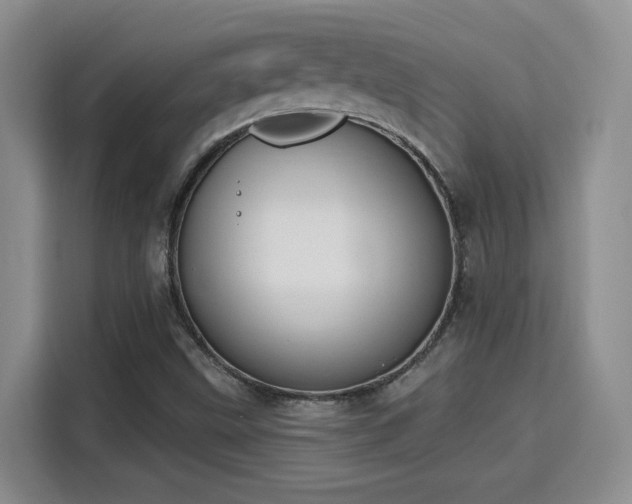 X0000115671499200911191015