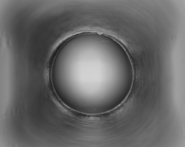 X0000115671503200911191015