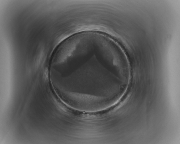 X0000115671505200911191015