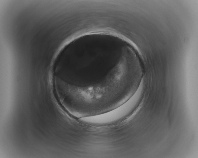 X0000115671506200911191015