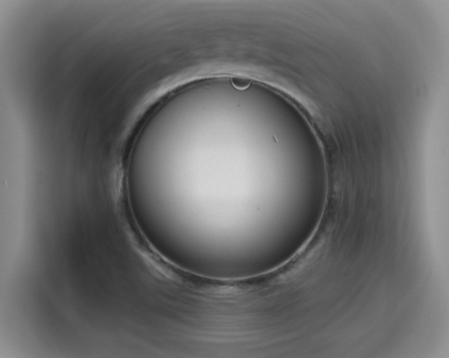 X0000115671507200911191015