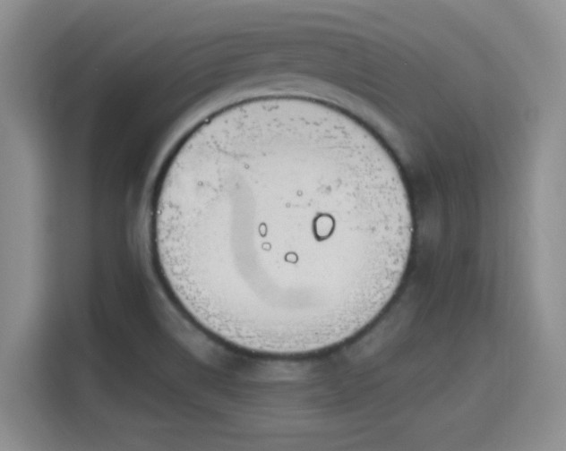 X0000115671514200911191015