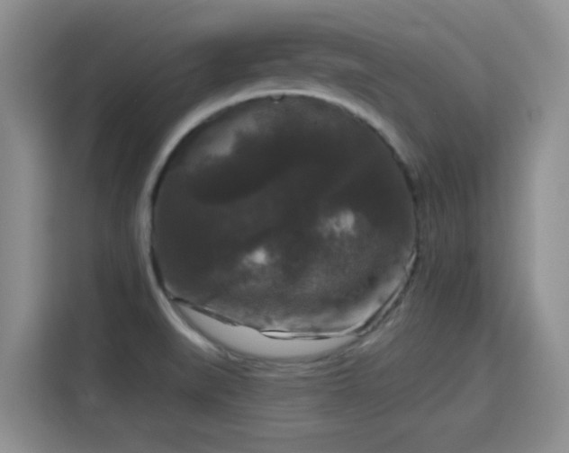 X0000115671519200911191015