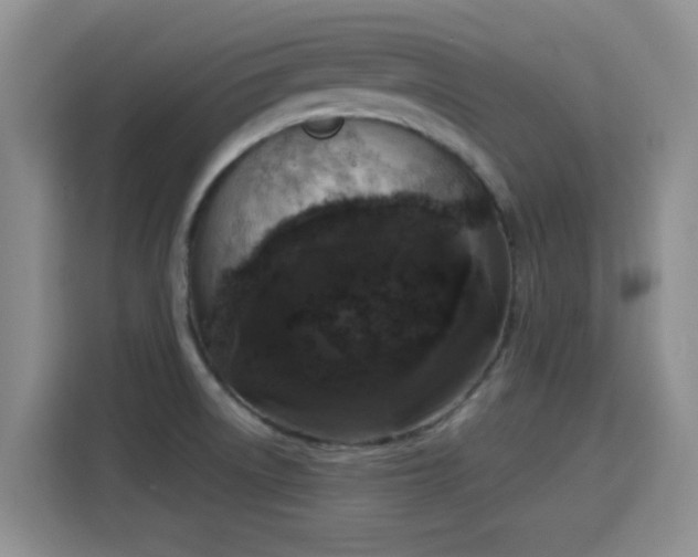 X0000115671522200911191015