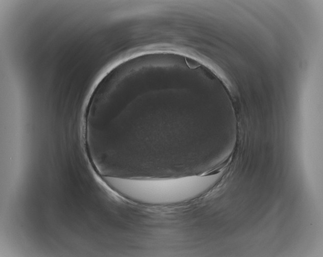 X0000115671527200911191015