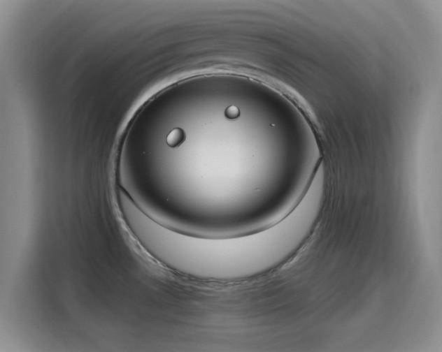 X0000115671530200911191015