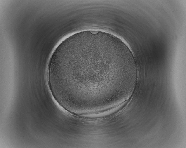 X0000115671531200911191015