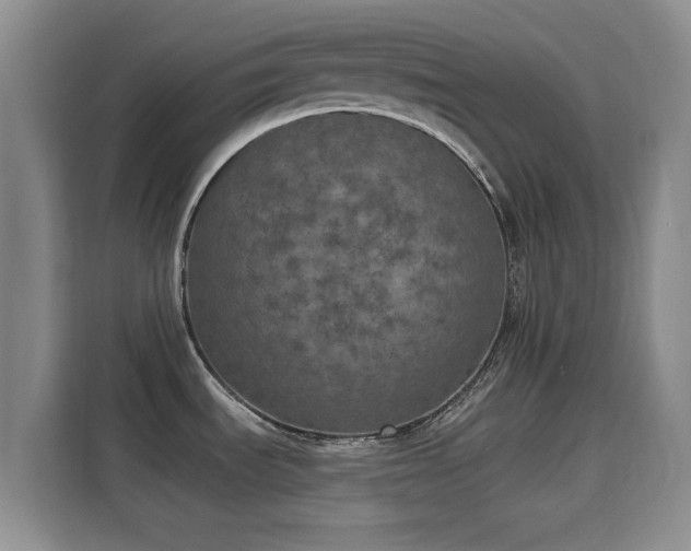 X0000115671535200911191015