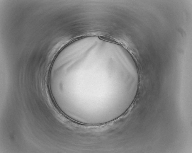 X0000115670001200911251740