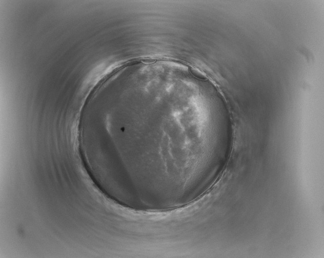 X0000115670002200911251740