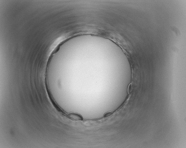 X0000115670003200911251740