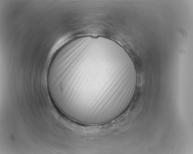 X0000115670004200911251740