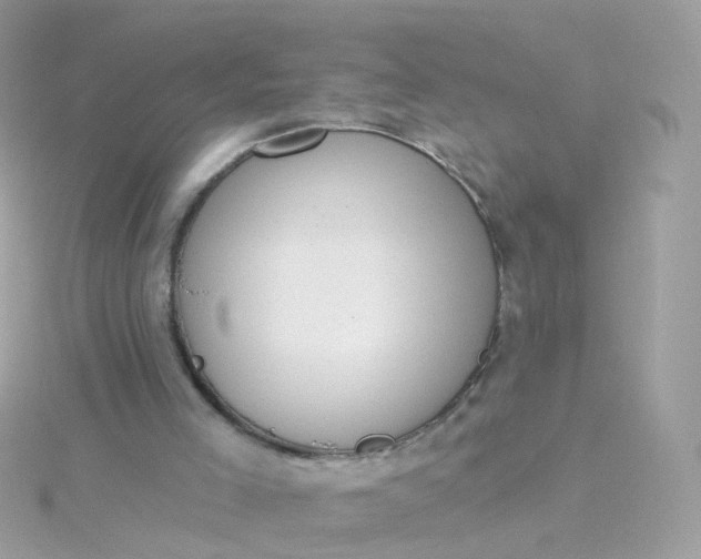 X0000115670005200911251740