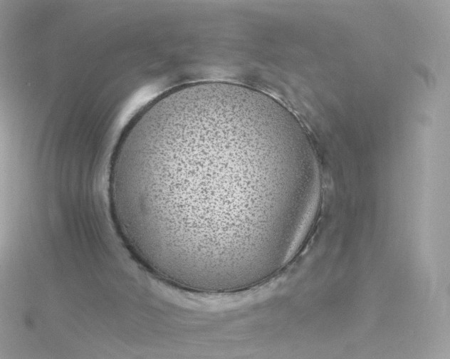 X0000115670006200911251740