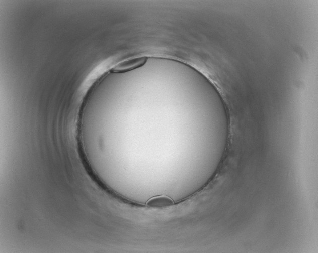 X0000115670007200911251740