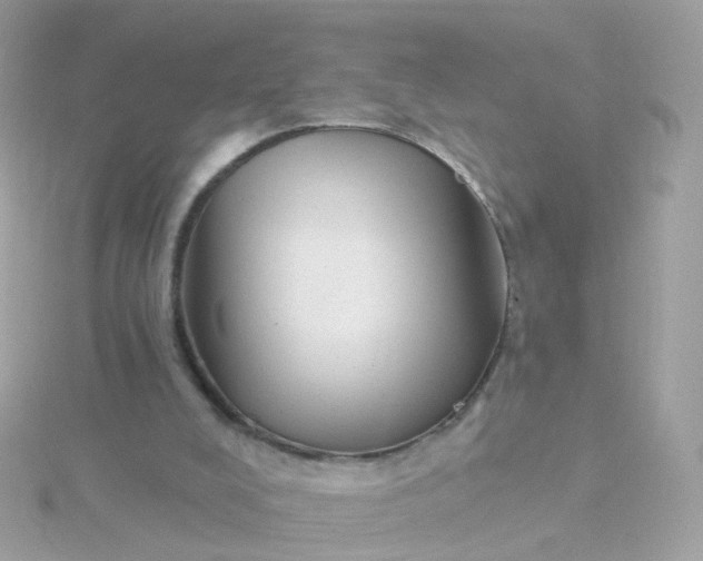 X0000115670008200911251740