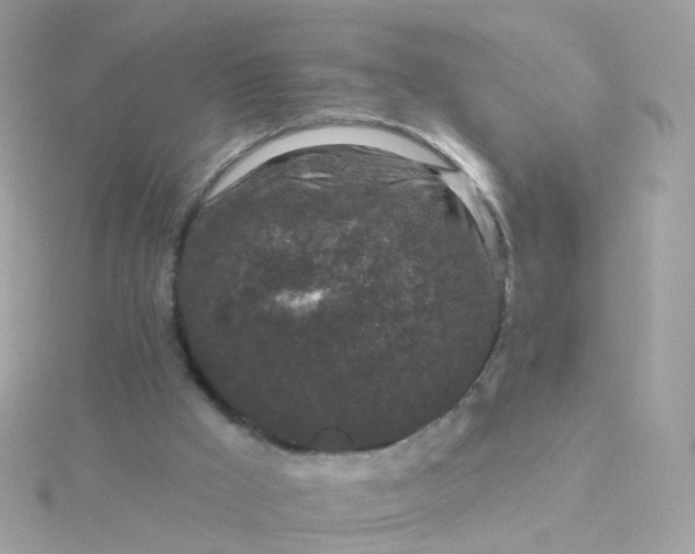 X0000115670009200911251740