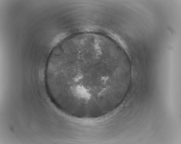 X0000115670010200911251740