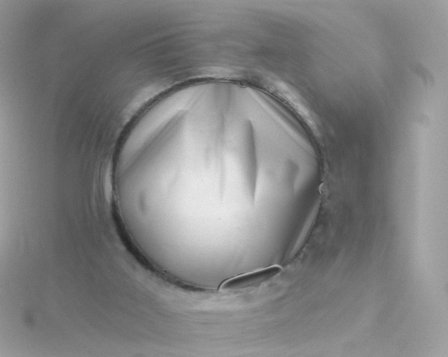 X0000115670011200911251740