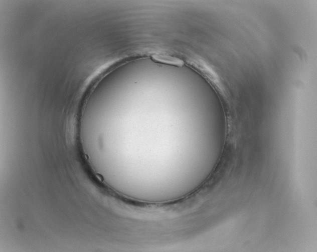 X0000115670012200911251740