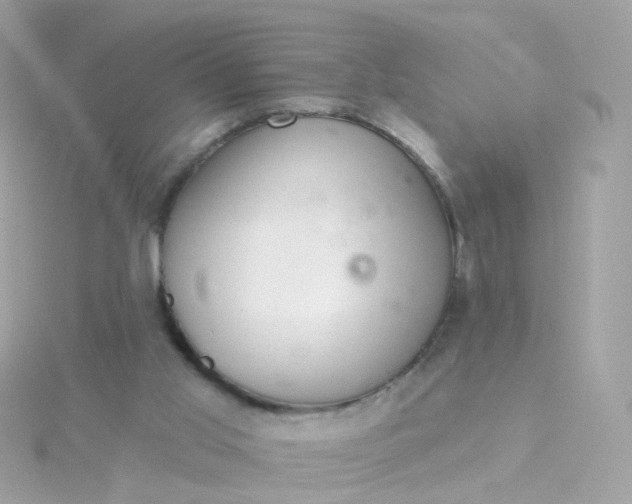 X0000115670013200911251740