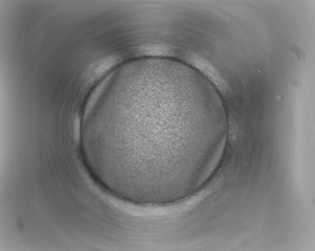 X0000115670014200911251740