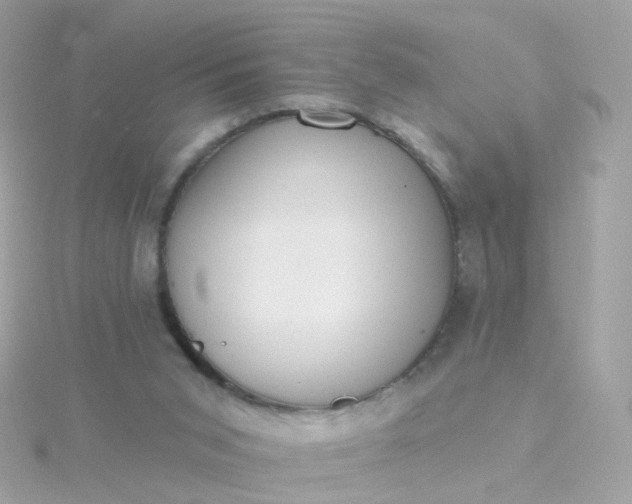 X0000115670015200911251740