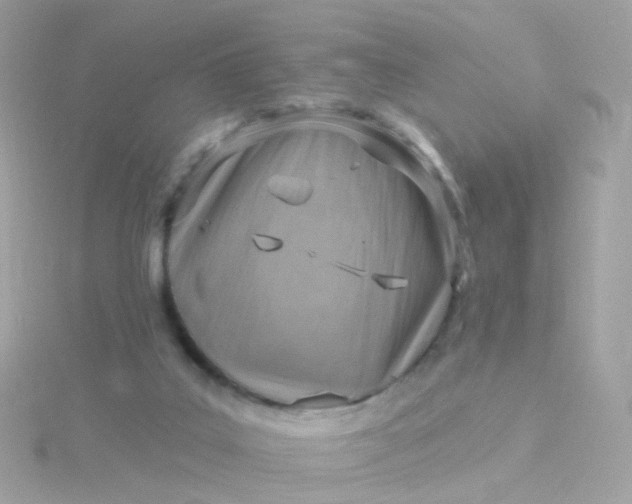 X0000115670019200911251740