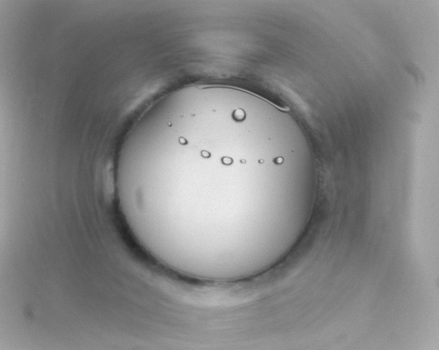 X0000115670020200911251740