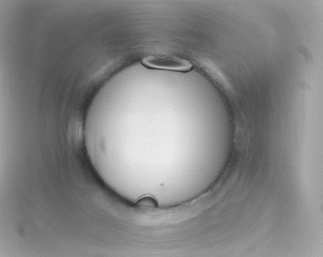 X0000115670021200911251740