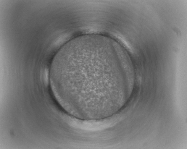 X0000115670022200911251739