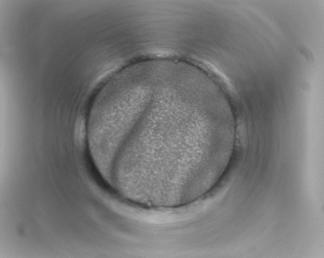 X0000115670024200911251739