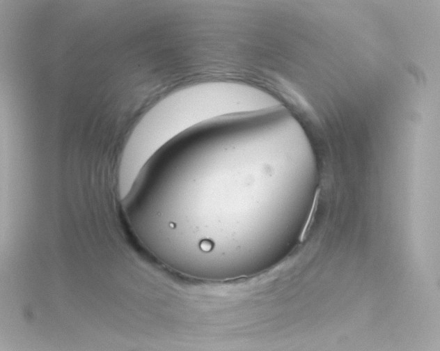 X0000115670025200911251739