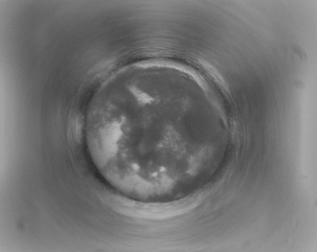 X0000115670026200911251739