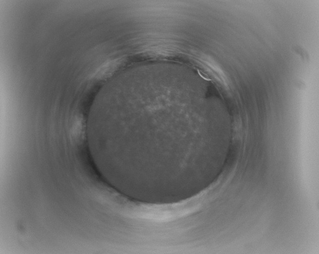 X0000115670029200911251739