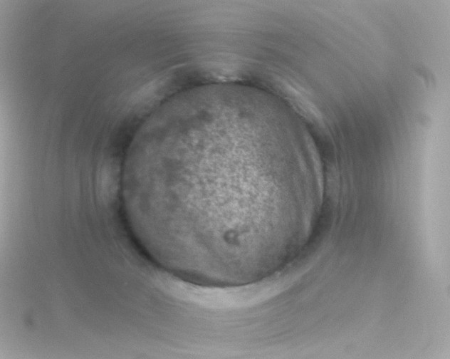 X0000115670030200911251739