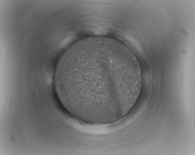 X0000115670032200911251739