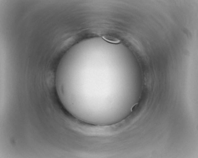 X0000115670036200911251739