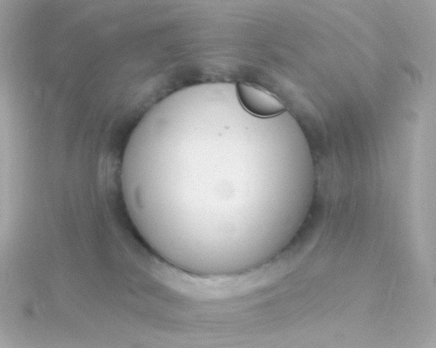 X0000115670038200911251739