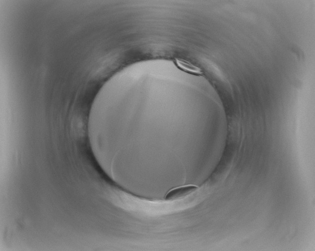 X0000115670039200911251739