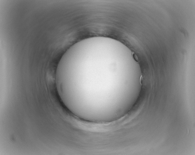 X0000115670040200911251739