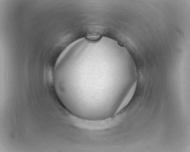 X0000115670042200911251739