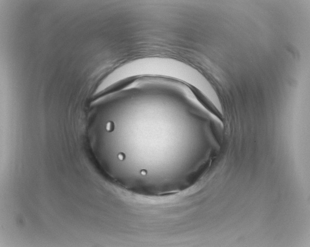 X0000115670043200911251739