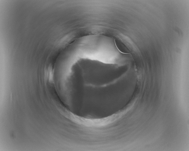 X0000115670046200911251739