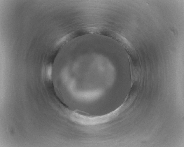 X0000115670047200911251739