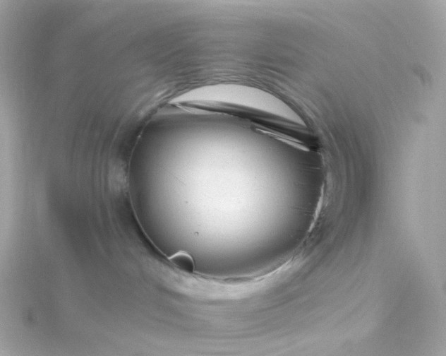 X0000115670048200911251739