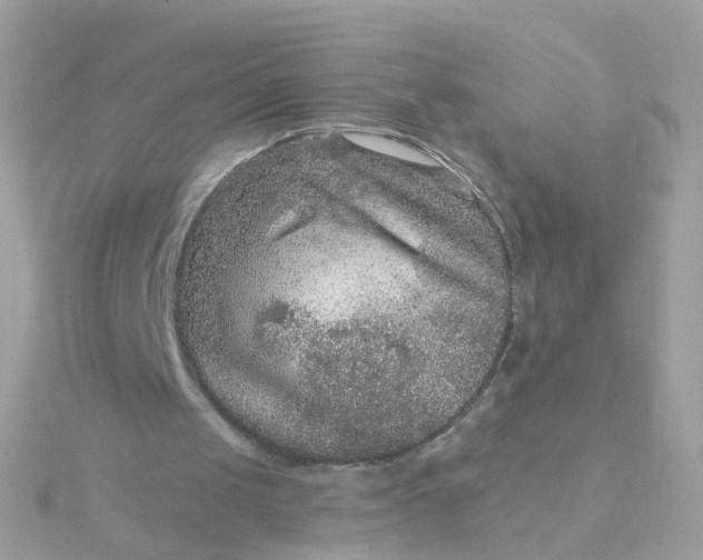 X0000115670049200911251739