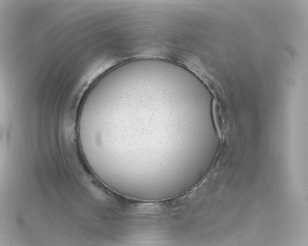 X0000115670050200911251739