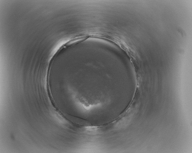 X0000115670052200911251739